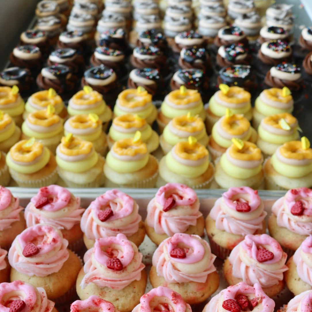 Mini Donut Cupcake 6-Pack
