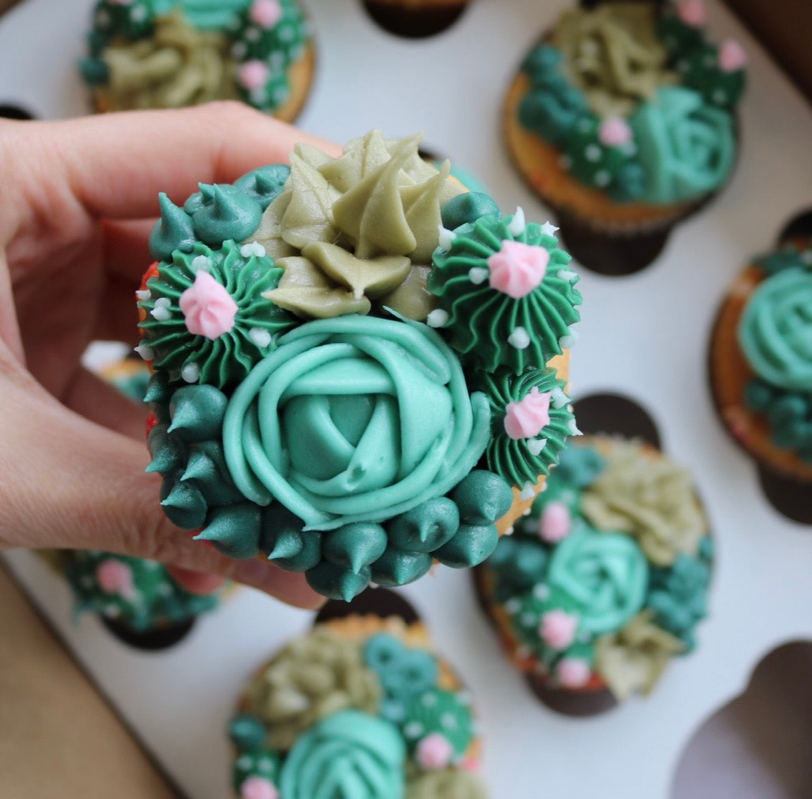 Succulent Cupcake Decorating Class