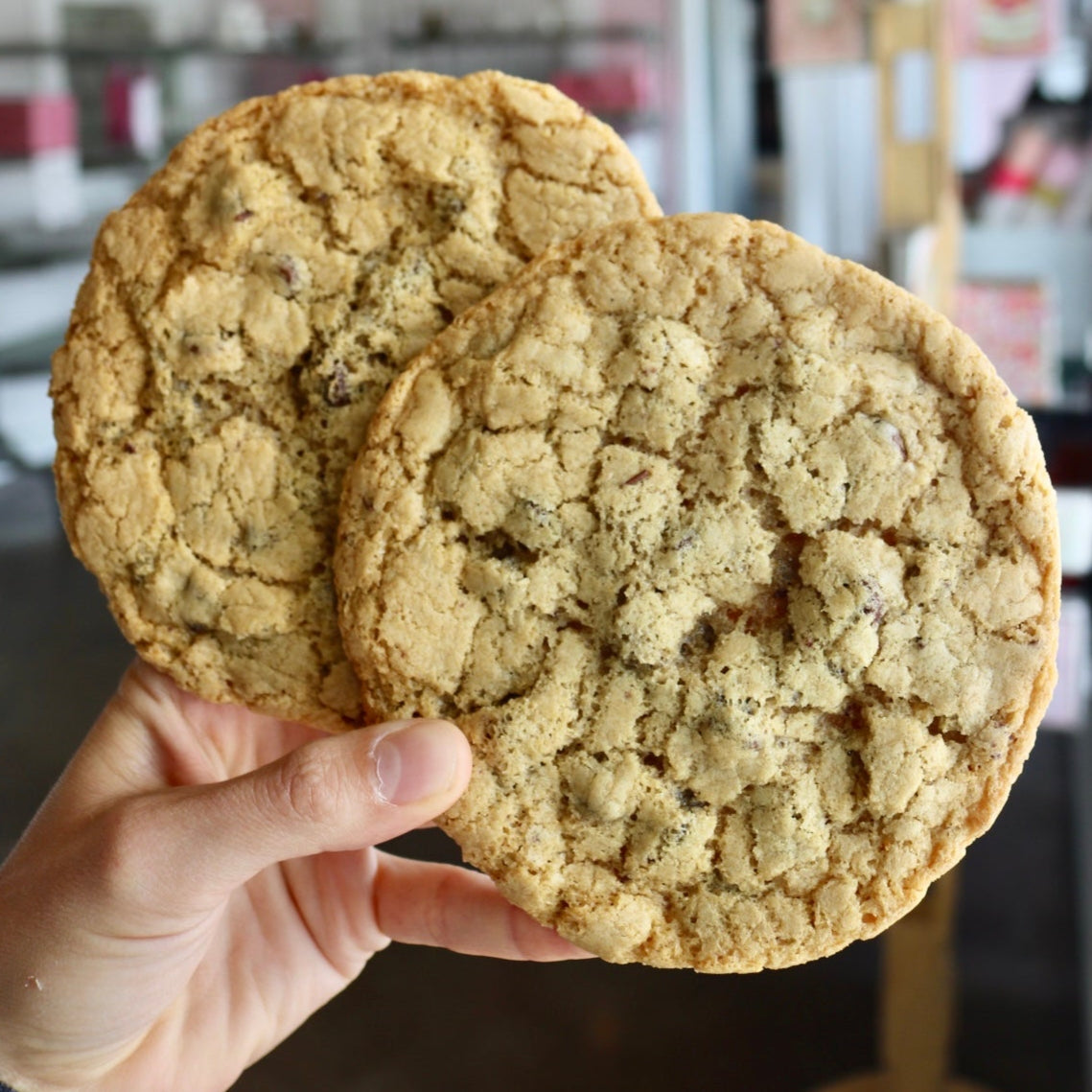 Gluten Free Chocolate Chip Cookie