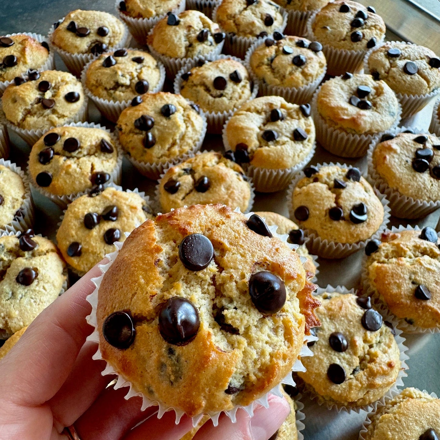 Keto Chocolate Chip Muffin
