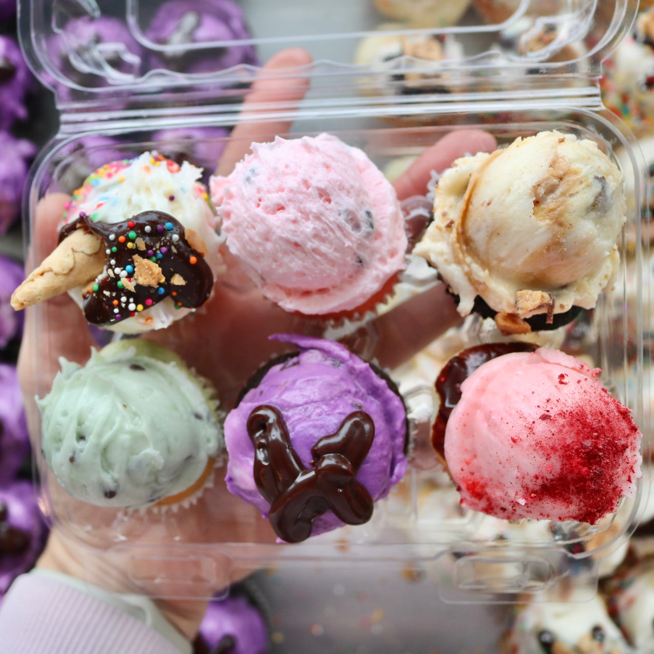 Mini Cupcake 6-Pack