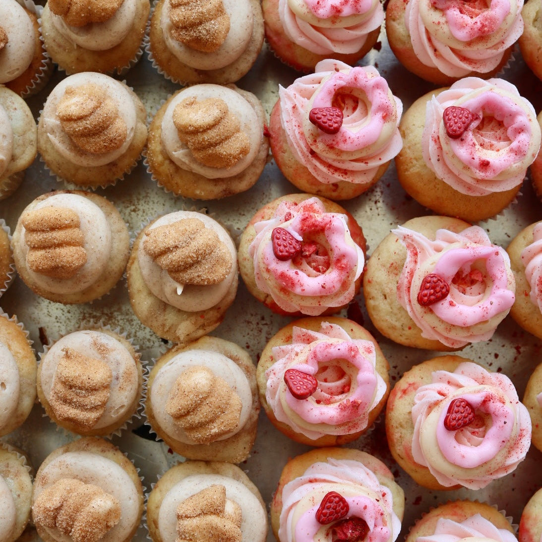 Mini Donut Cupcake 6-Pack