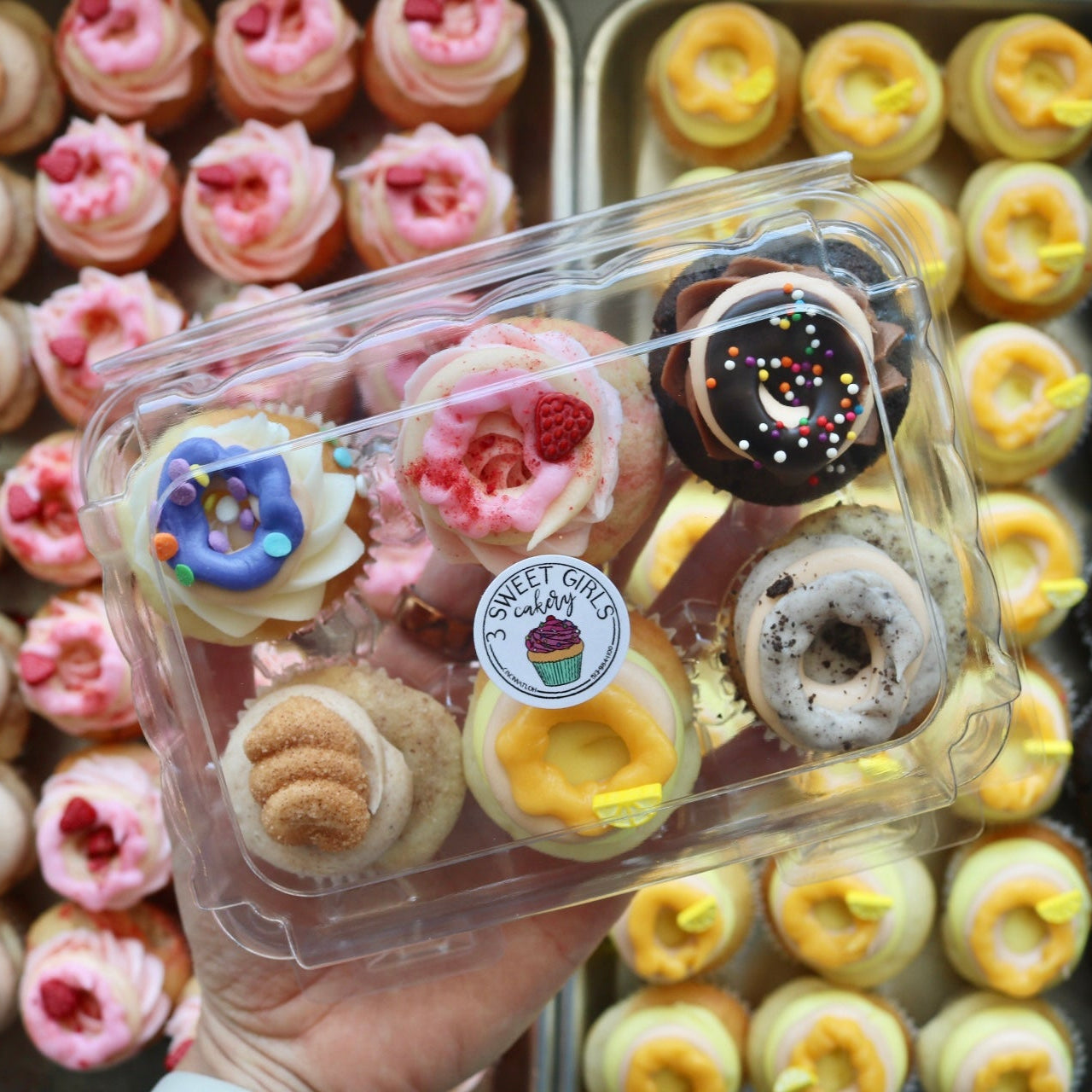 Mini Donut Cupcake 6-Pack