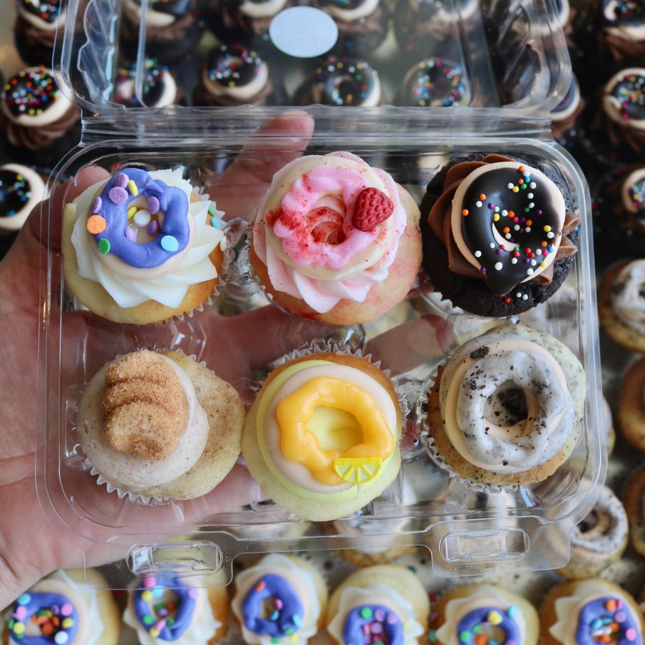 Mini Donut Cupcake 6-Pack