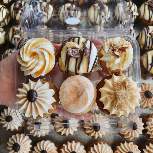 Fall Mini Cupcake 6-Pack